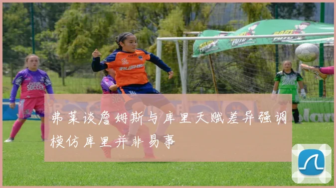 弗莱谈詹姆斯与库里天赋差异强调模仿库里并非易事